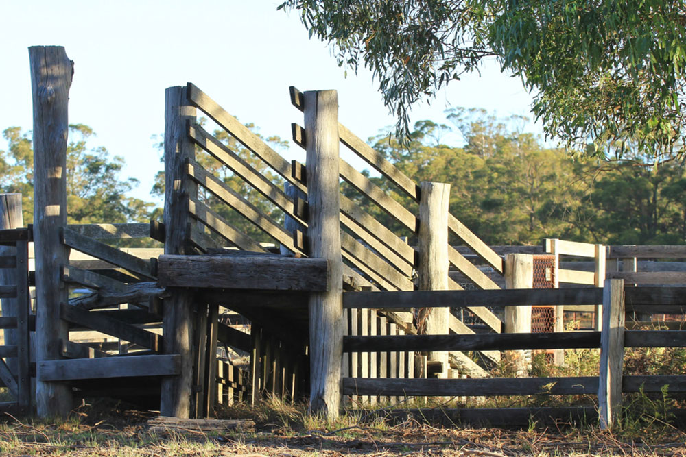 Here’s what you need to know about yard ramps